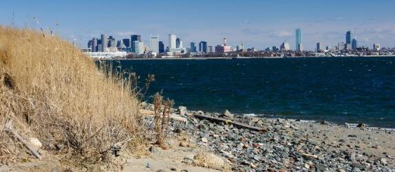 从波士顿港的奇观岛上俯瞰波士顿城市的天际线